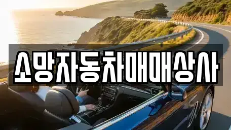 전북특별자치도 전주시 완산구 삼천동2가 중고차매매 전문 소망자동차매매상사