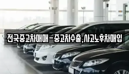 전북특별자치도 전주시 완산구 삼천동2가 중고차매입 전문 전국중고차매매-중고차수출,사고노후차매입