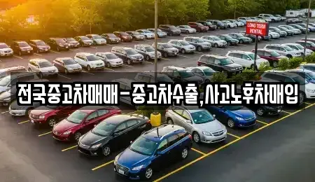 전북특별자치도 정읍시 상동 중고차 전문 전국중고차매매-중고차수출,사고노후차매입