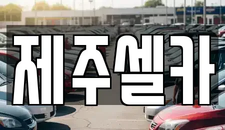 제주 제주시 도련일동 중고차 전문 제주셀카