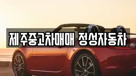 제주 제주시 도련일동 중고차 전문 제주중고차매매 정성자동차