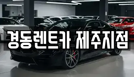 제주특별자치도 장기렌트카 전문 경동렌트카 제주지점