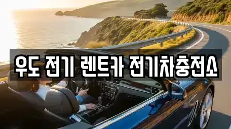 제주특별자치도 제주시 우도면 렌트카 전문 우도 전기 렌트카 전기차충전소