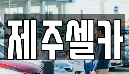 제주특별자치도 중고차 전문 제주셀카
