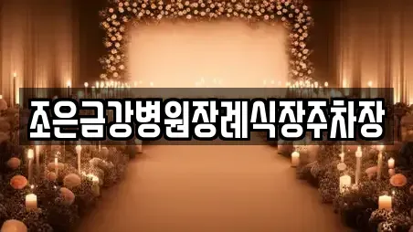 조은금강병원장례식장주차장