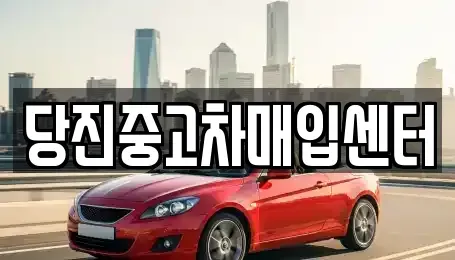 충남 당진시 사기소동 중고차매매 전문 당진중고차매입센터