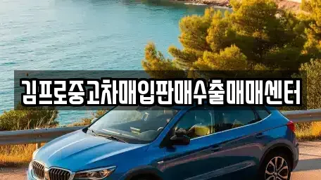 충남 서산시 부석면 중고차매입 전문 김프로중고차매입판매수출매매센터