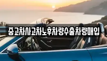 충북 보은군 삼승면 중고차 전문 중고차사고차노후차량수출차량매입
