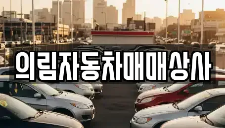 충북 제천시 신월동 중고차매매 전문 의림자동차매매상사