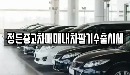 충북 청주시 상당구 문의면 중고차 전문 정든중고차매매내차팔기수출시세
