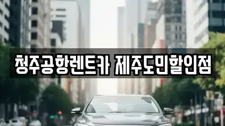 충북 청주시 청원구 외평동 렌트카 전문 청주공항렌트카 제주도민할인점