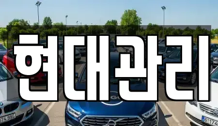 충북 청주시 청원구 외평동 렌트카 전문 현대관리