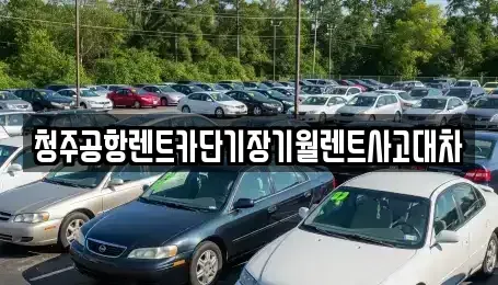 충북 청주시 흥덕구 복대동 단기렌트카,중고차매입,중고차매매,중고차,렌트카,장기렌트카