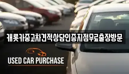 충청남도 공주시 주미동 중고차매매 전문 캐롯카중고차견적상담인증지점무료출장방문