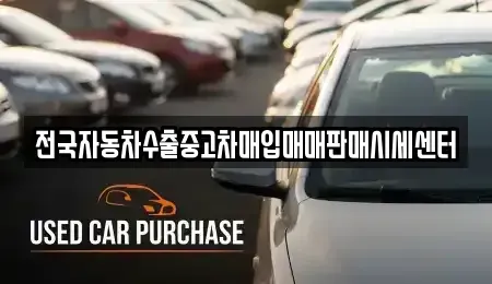 충청남도 공주시 주미동 단기렌트카,중고차매입,중고차매매,중고차,렌트카,장기렌트카