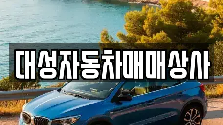 충청남도 서산시 음암면 중고차 전문 대성자동차매매상사
