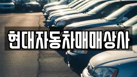 충청남도 서산시 음암면 중고차 전문 현대자동차매매상사