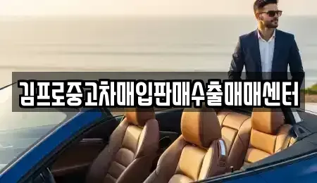 충청남도 천안시 서북구 와촌동 중고차매입 전문 김프로중고차매입판매수출매매센터