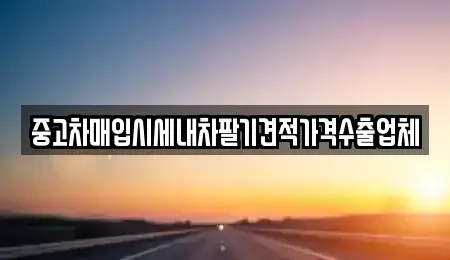 충청남도 천안시 서북구 와촌동 중고차매입 전문 중고차매입시세내차팔기견적가격수출업체