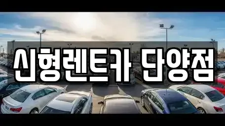 충청북도 단양군 단양읍 렌트카 전문 신형렌트카 단양점