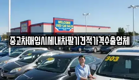 충청북도 단양군 단양읍 중고차매입 전문 중고차매입시세내차팔기견적가격수출업체