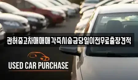 충청북도 음성군 생극면 중고차 전문 관허중고차매매매각즉시송금당일이전무료출장견적