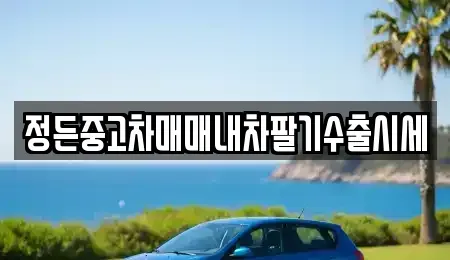 충청북도 음성군 생극면 중고차 전문 정든중고차매매내차팔기수출시세