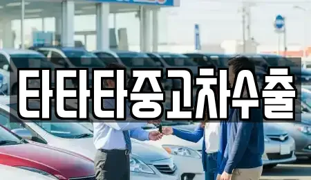 충청북도 음성군 생극면 중고차 전문 타타타중고차수출