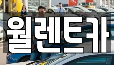 충청북도 청주시 상당구 금천동 렌트카 전문 월렌트카