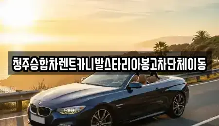 충청북도 청주시 상당구 금천동 렌트카 전문 청주승합차렌트카니발스타리아봉고차단체이동