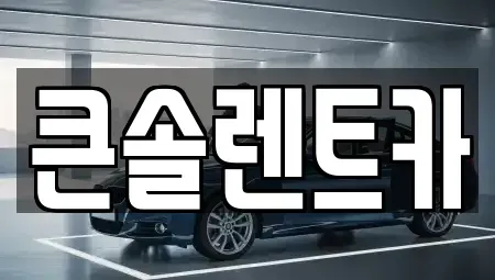 충청북도 청주시 상당구 금천동 렌트카 전문 큰솔렌트카