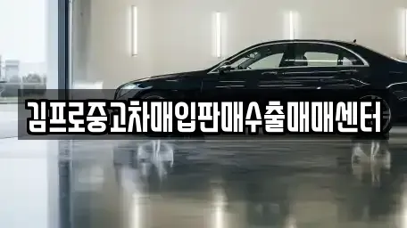 충청북도 청주시 상당구 금천동 중고차매입 전문 김프로중고차매입판매수출매매센터