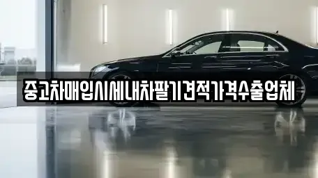 충청북도 청주시 청원구 우암동 중고차매입 전문 중고차매입시세내차팔기견적가격수출업체