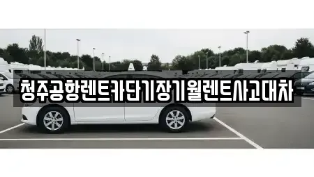 충청북도 청주시 흥덕구 석곡동 렌트카,단기렌트카,장기렌트카,중고차,중고차매매,중고차매입