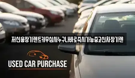 충청북도 청주시 흥덕구 석곡동 장기렌트카 전문 저신용장기렌트카무심사누구나바로즉시가능중고신차장기렌