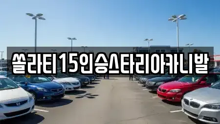 충청북도 충주시 가주동 렌트카 전문 쏠라티15인승스타리아카니발