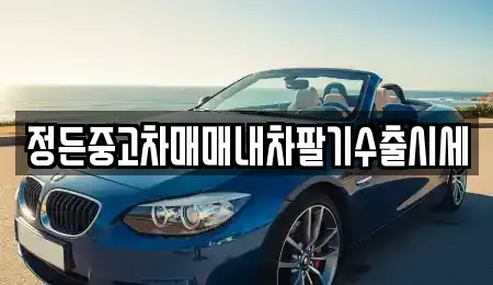 충청북도 충주시 가주동 중고차매매,단기렌트카,중고차매입,장기렌트카,중고차,렌트카