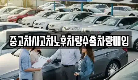충청북도 충주시 성내동 중고차 전문 중고차사고차노후차량수출차량매입